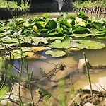 Bezdroza Mazurskie * Mrągowo