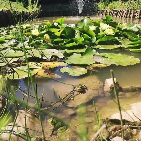 Bezdroza Mazurskie * 므랑고보