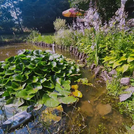 Bezdroza Mazurskie Accommodatie bij particulieren Mrągowo