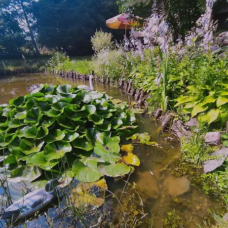 Bezdroza Mazurskie Homestay Mragowo