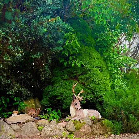 Bezdroza Mazurskie 홈스테이