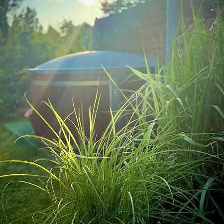 Bezdroza Mazurskie Séjour chez l'habitant